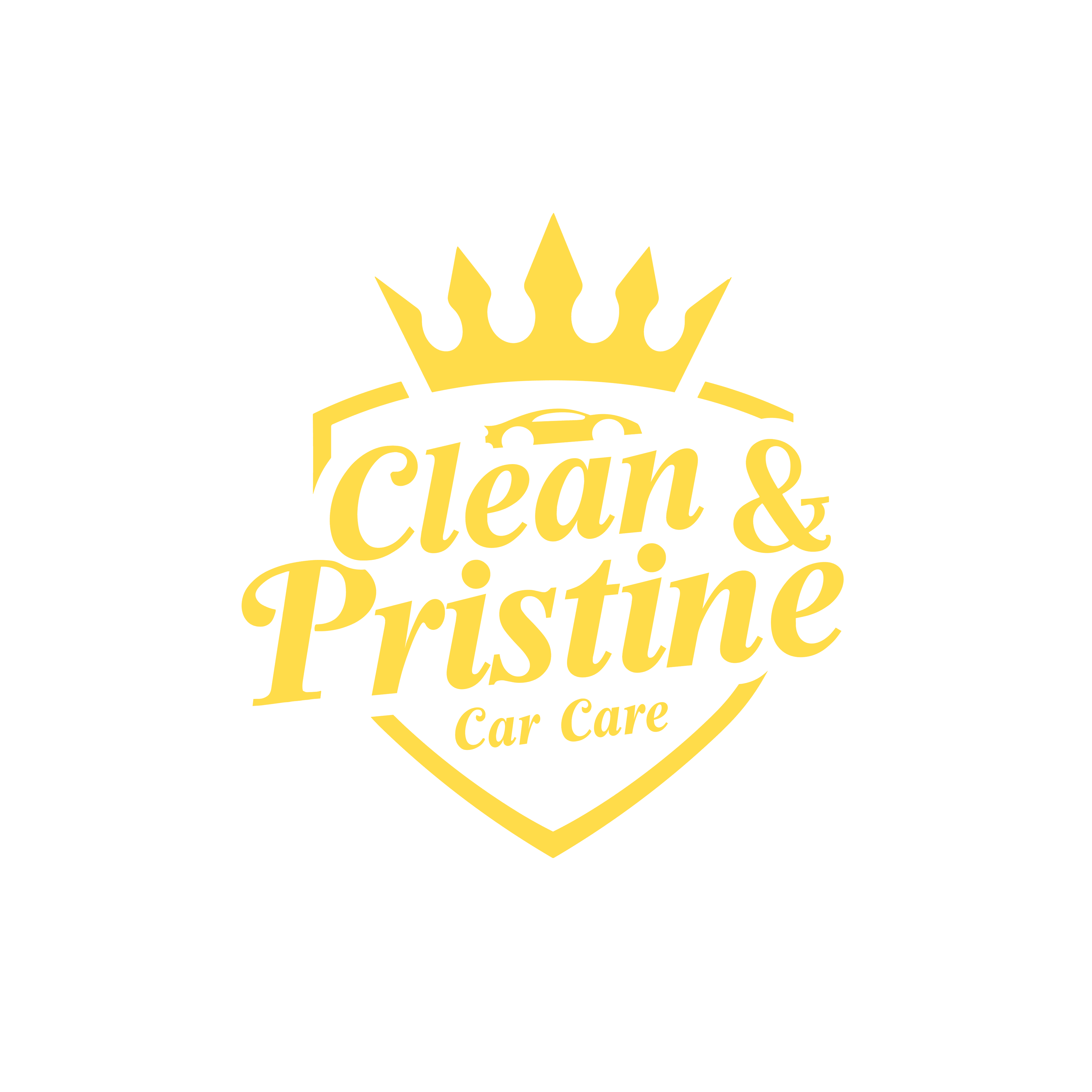 Clean & Pristine Car Care